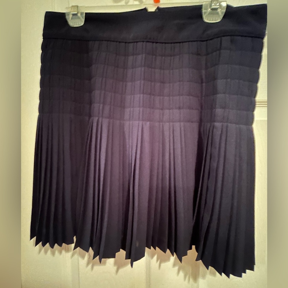 J Crew Elegant Blue Pleated Lined Skirt. Size 10.
